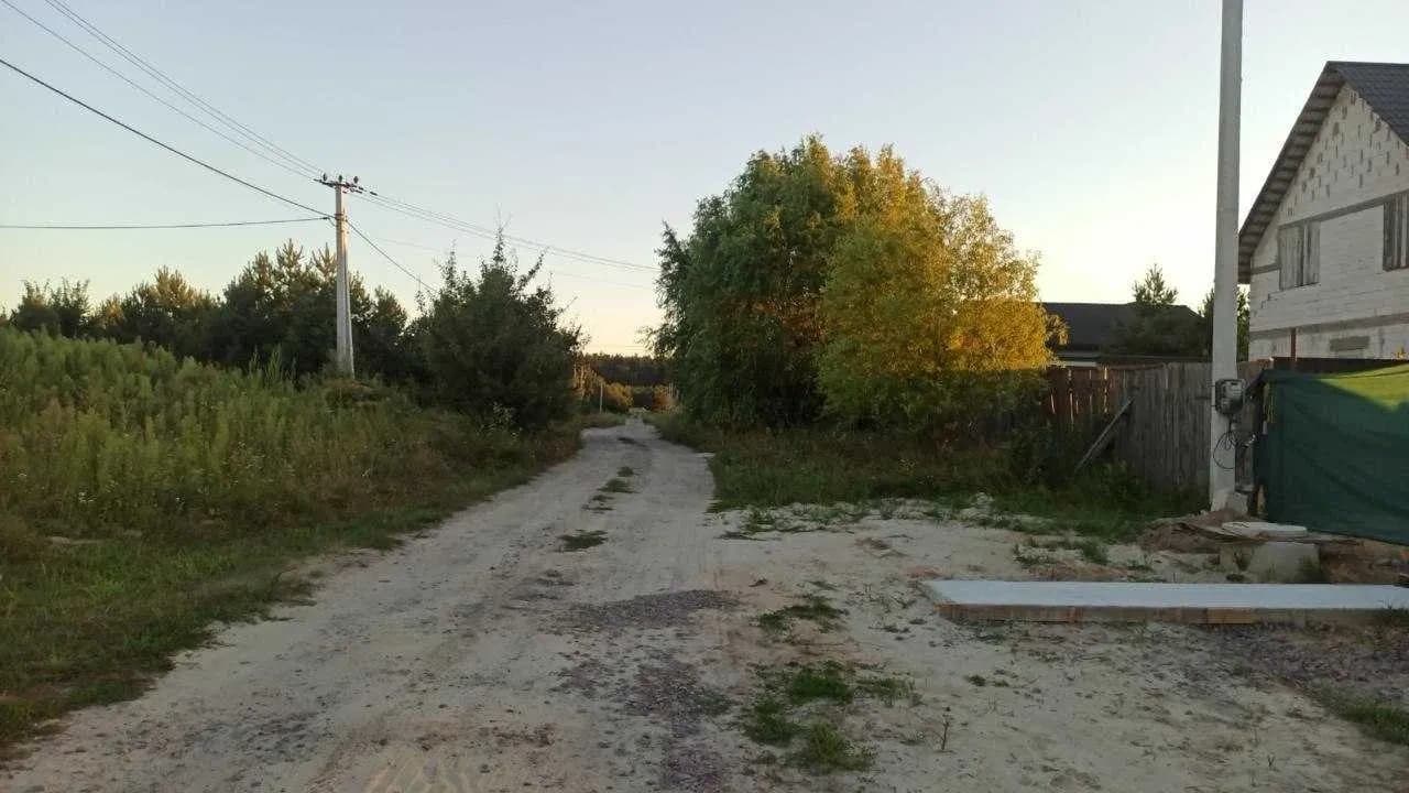 Ділянка 25 соток, Бобриця: електрика, біля хвойного лісу - фото 3