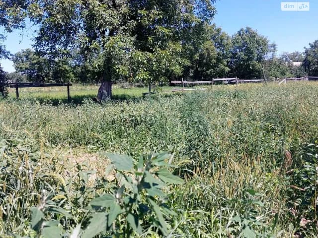 Ділянка 8.23 сотки, Якушинці: під житлову забудову, під гараж - фото 4