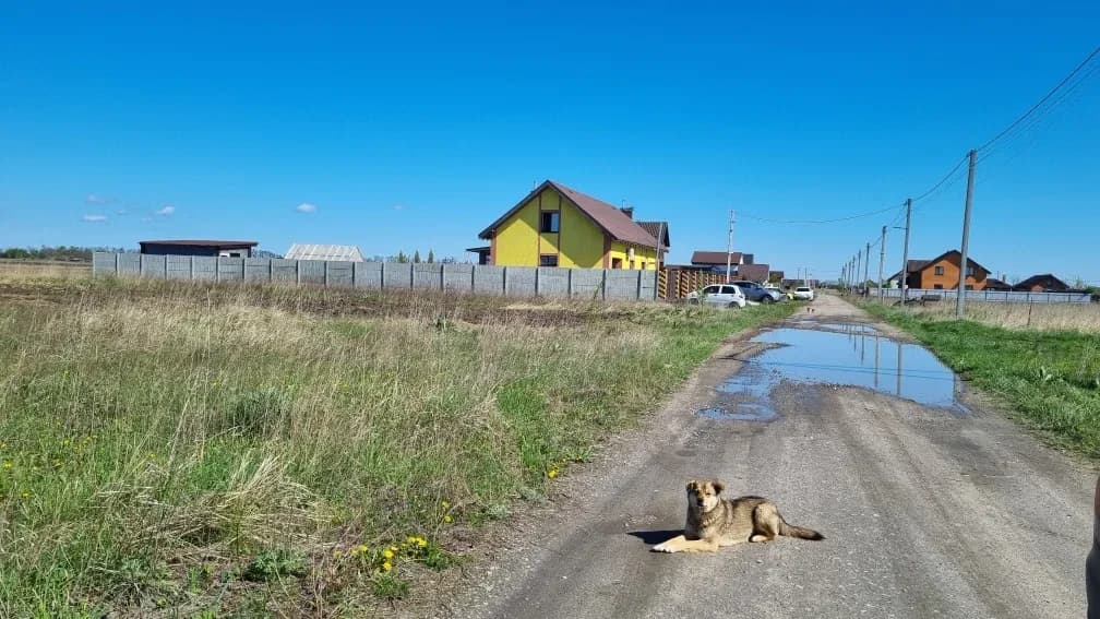 Ділянка 10 соток, Личанка: електрика, озеро поруч - фото 3