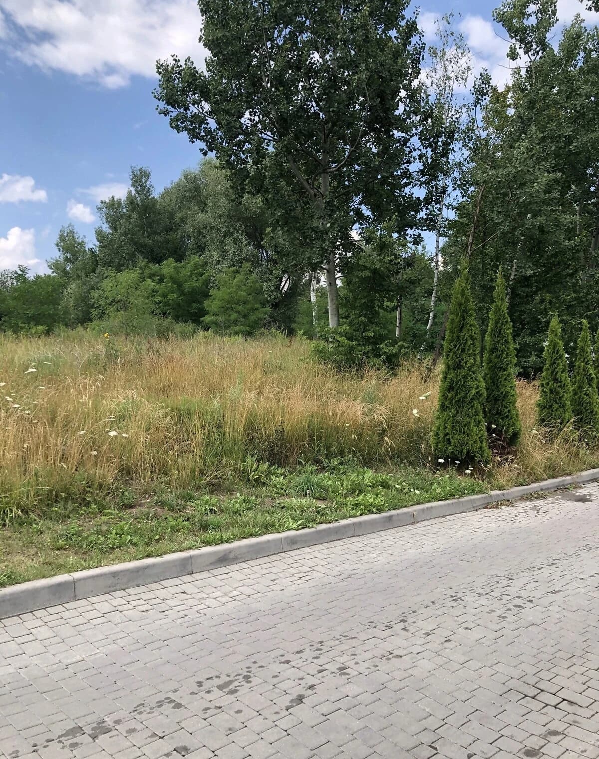 Приміщення, Сихівський: фасадне, панорамні вікна - фото 5