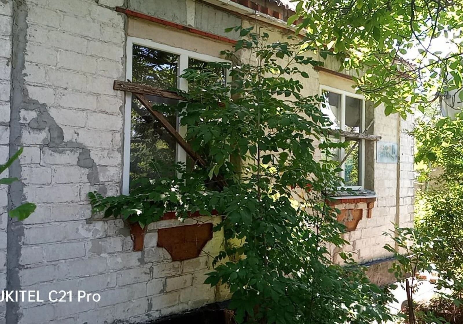 Дача, Гурівка: 40 соток, веранда, бесідка - фото 2