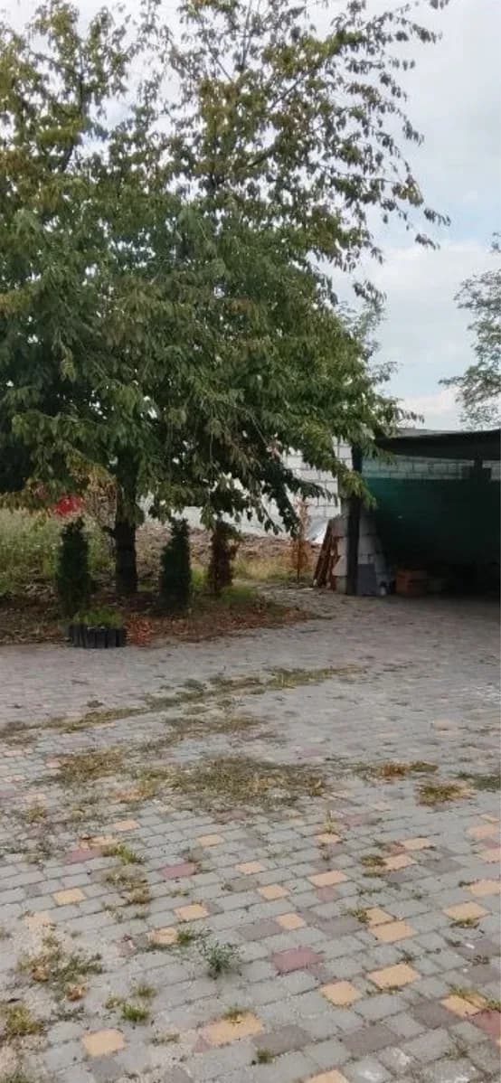 Будинок, Лупарево: база відпочинку на березі, 40 соток - фото 5