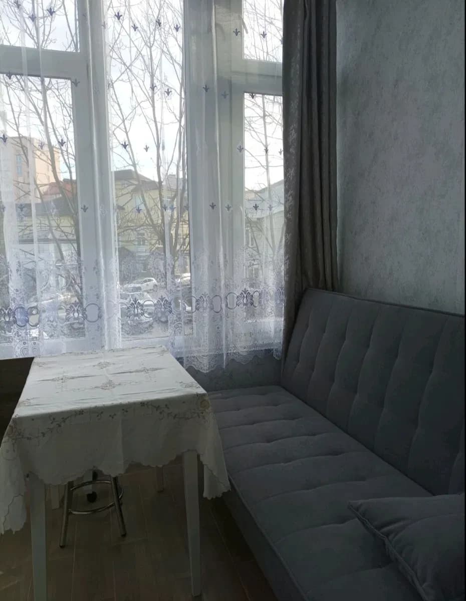 1-кімнатна квартира, Трускавець: євроремонт, для однієї людини - фото 5