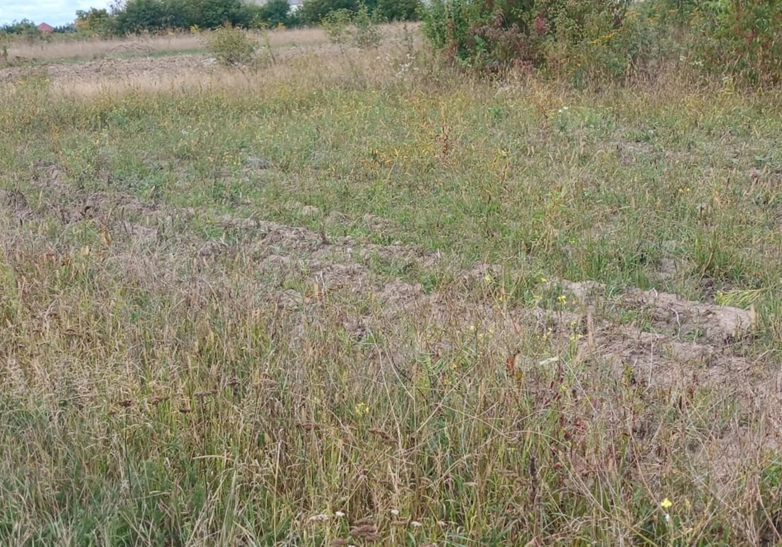 Ділянка 33.2 сотки, Угринів: електрика, рівнинна, торг - фото 5