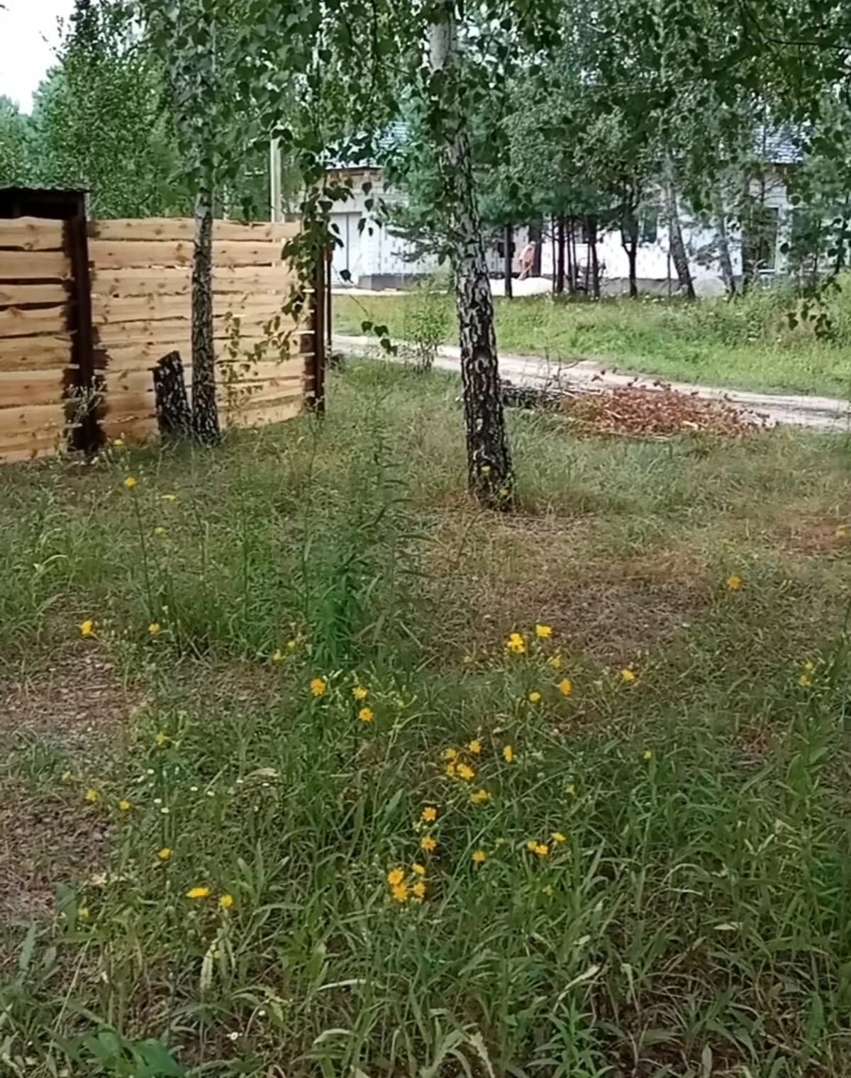 Ділянка 8 соток, Хотянівка: під гараж, електрика - фото 3