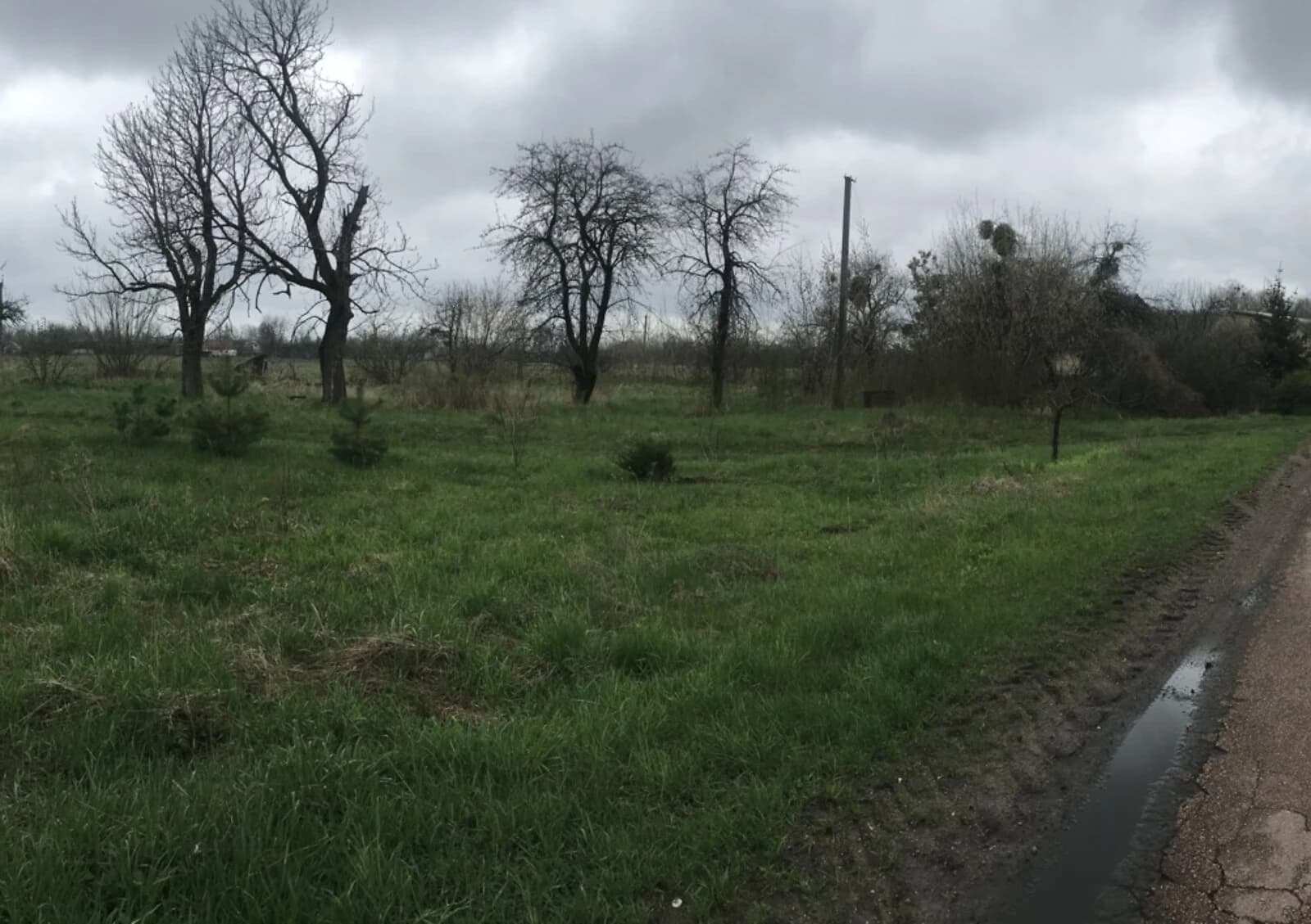 Ділянка 57 соток, Вільшка: житлова забудова, криниця, під гараж - фото 3