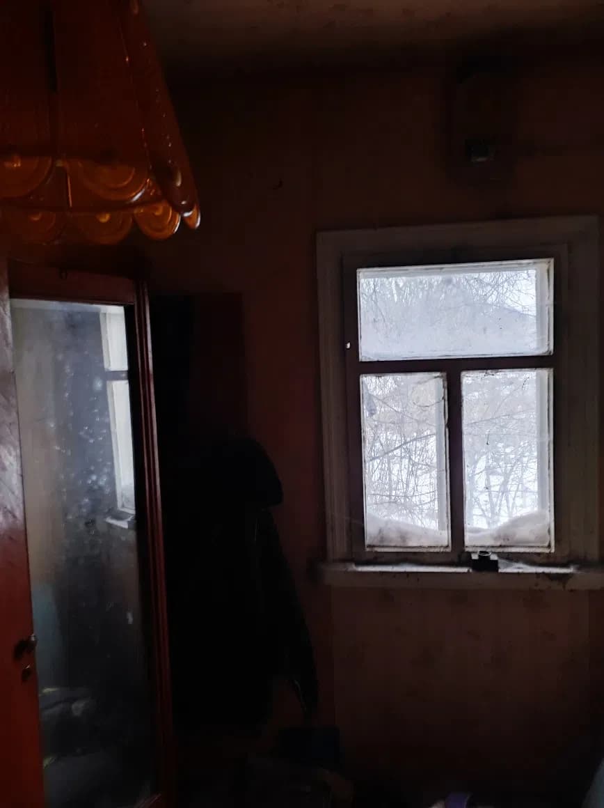Будинок, Більківці: 50 соток, садок, річка та ставок - фото 2