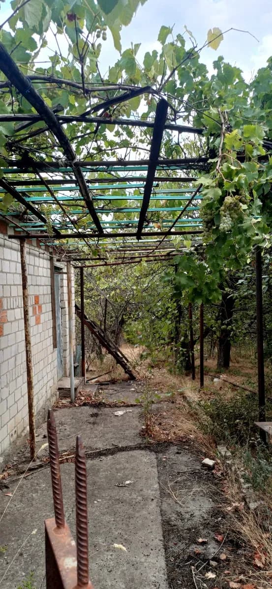 Дача, Зайчівське: 5 соток, груба, плодові дерева - фото 3