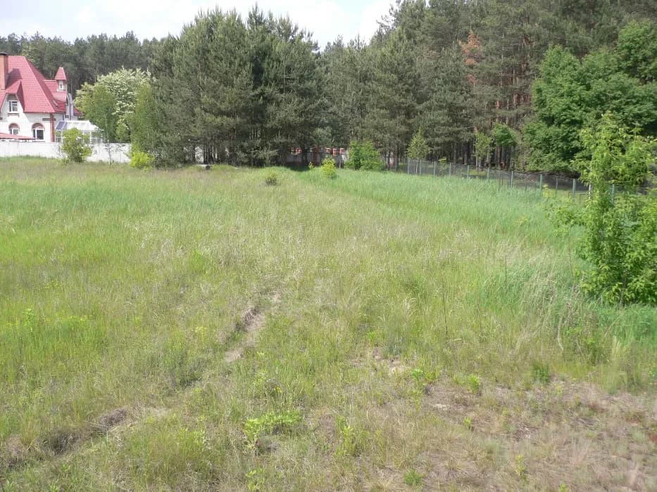 Ділянка 25 соток, Гнідин: будинок 100 м², 3 км від Києва - фото 3