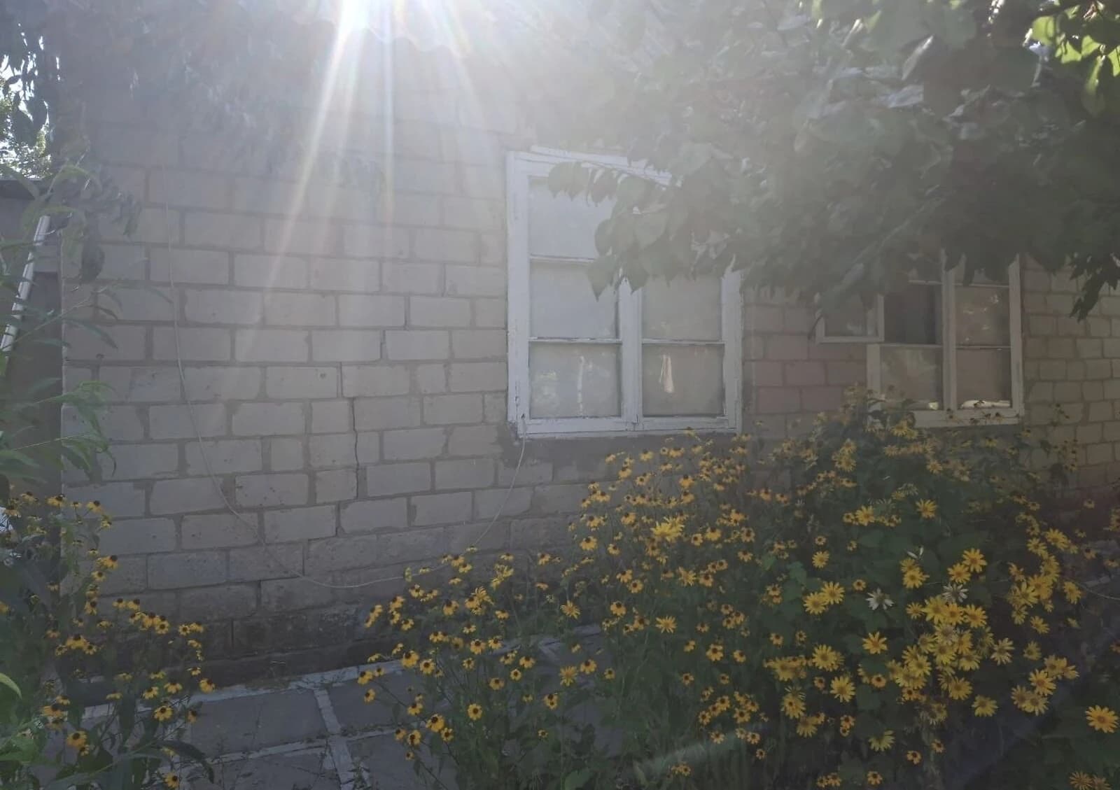 Будинок, Верхня Хортиця: город, сад, господарські будівлі - фото 4