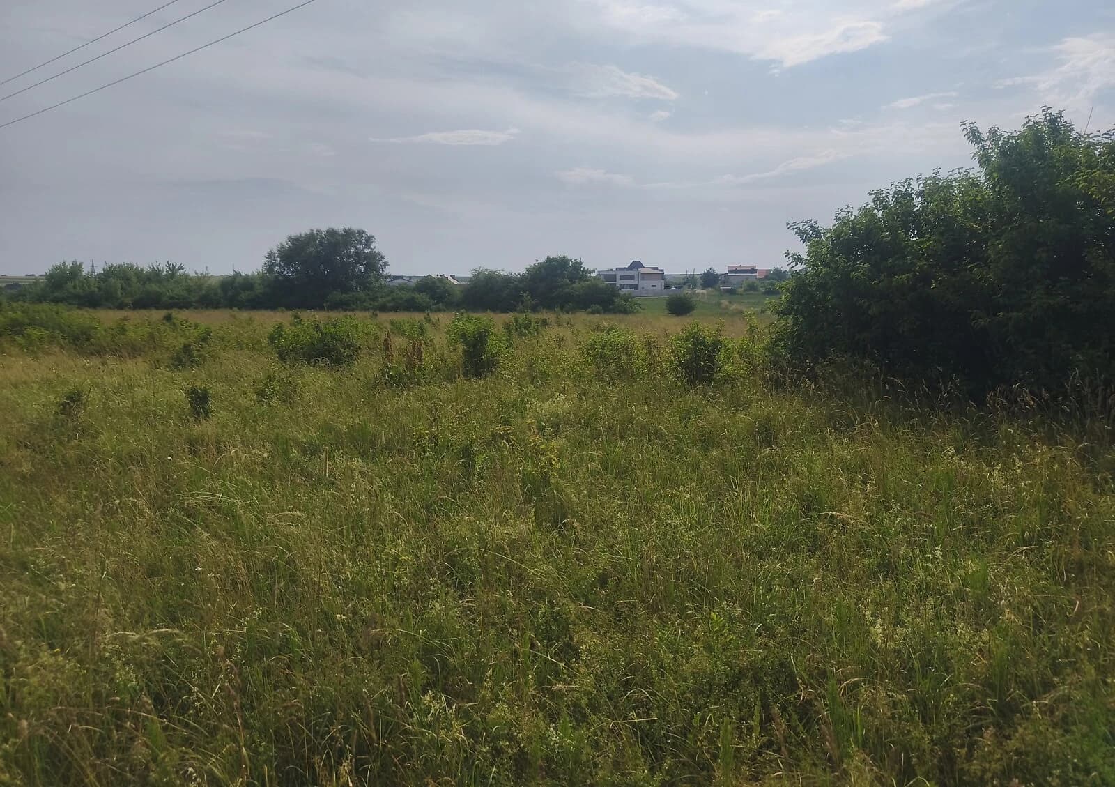 Ділянка 8 соток, Петриків: під гараж, чорнозем, рівнинна - фото 4