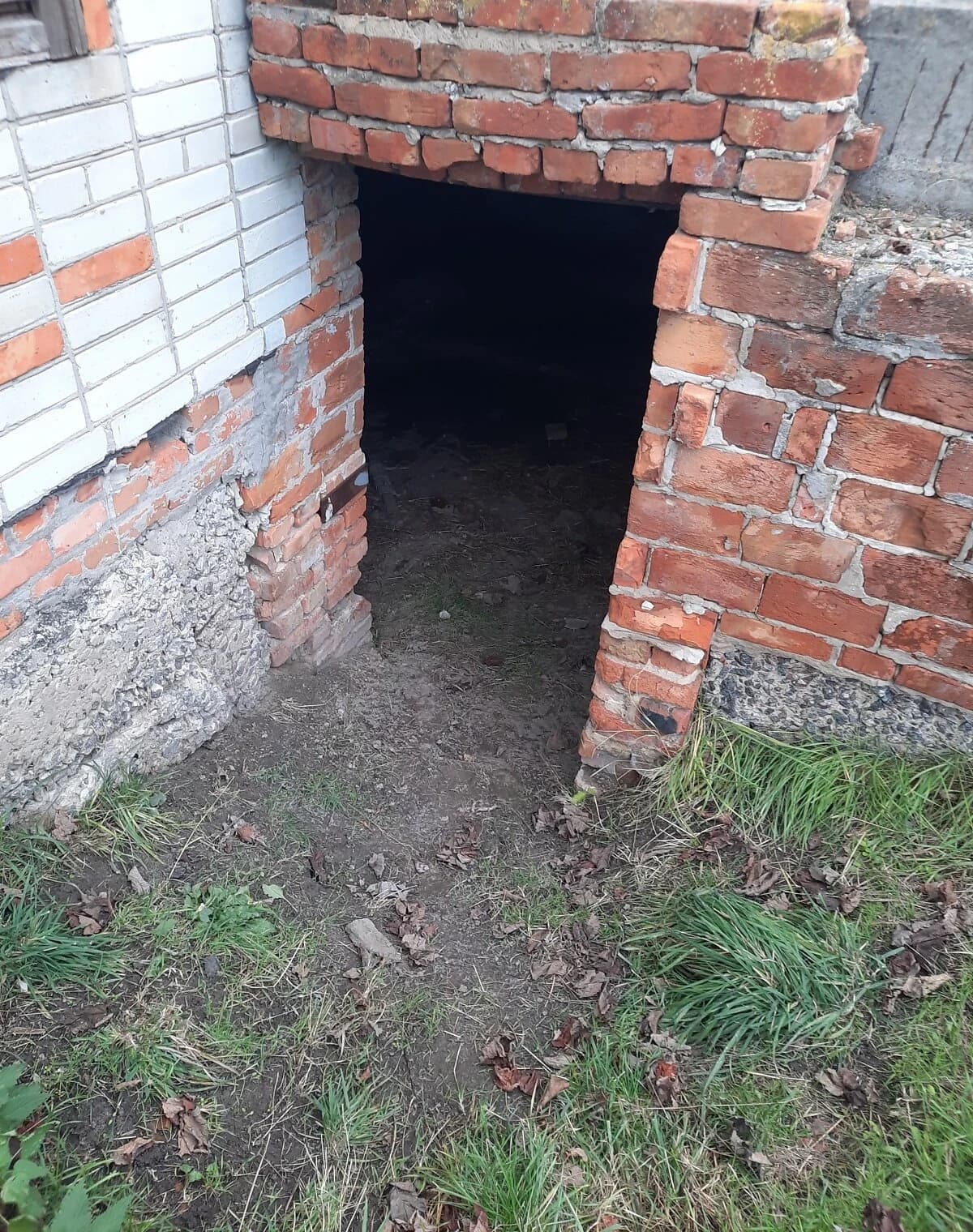 Земельна ділянка, Дівички: під житлову забудову, природне озеро - фото 5