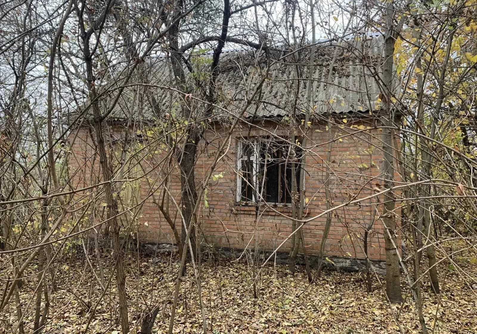 Будинок, Подолянці: город, цегляні стіни, шиферний дах - фото 4