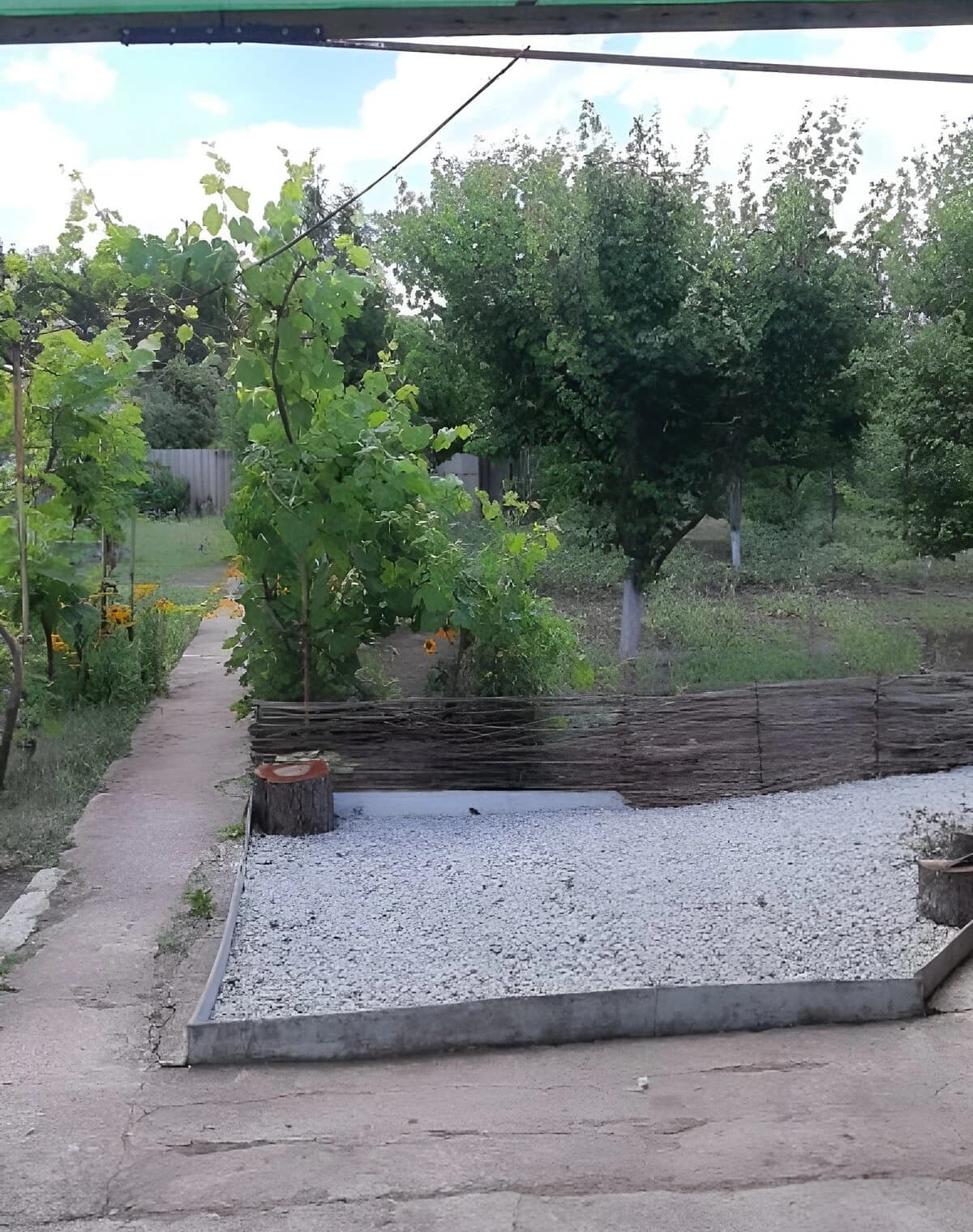 Дача, вулиця Молочна: сад і город, чорнозем, електрика - фото 2