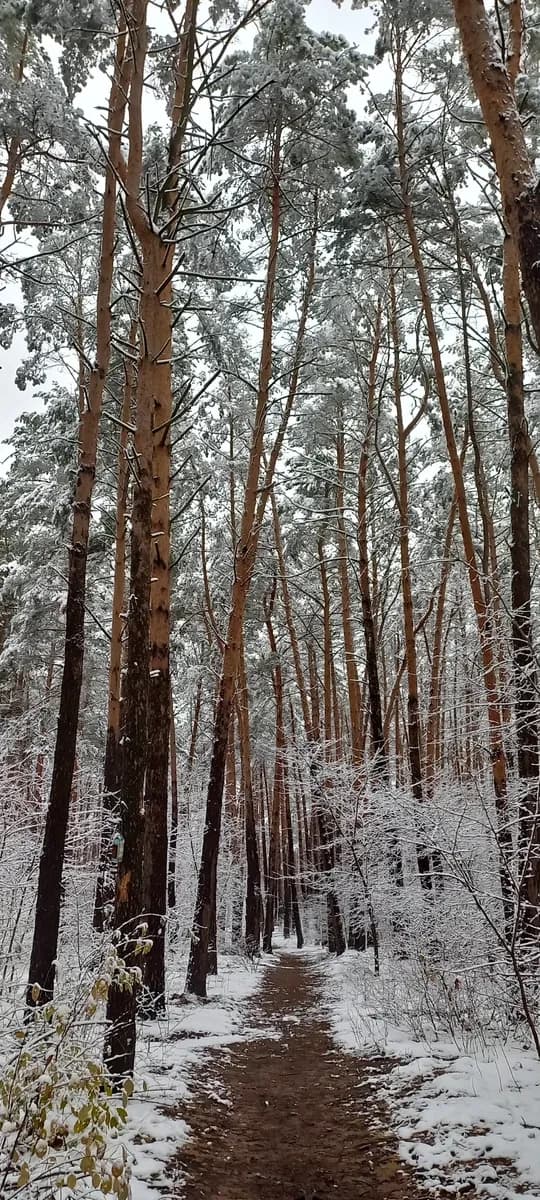 Ділянка 15 соток, Юрівка: під забудову, асфальтована дорога, 15 кВт - фото 5