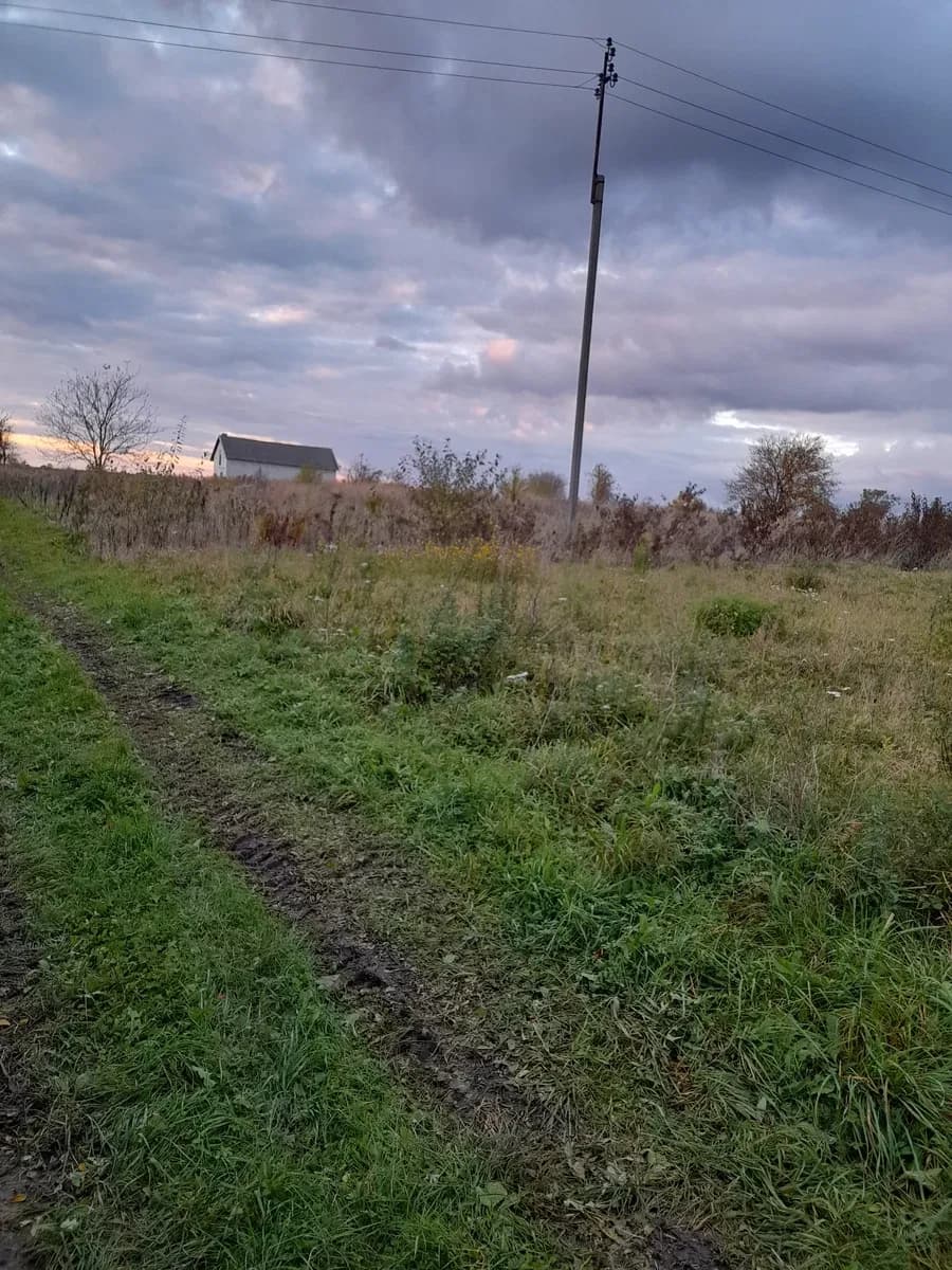 Ділянка 40 соток, Ричагів: траса Т 14-25, 10 км до Миколаєва - фото 2