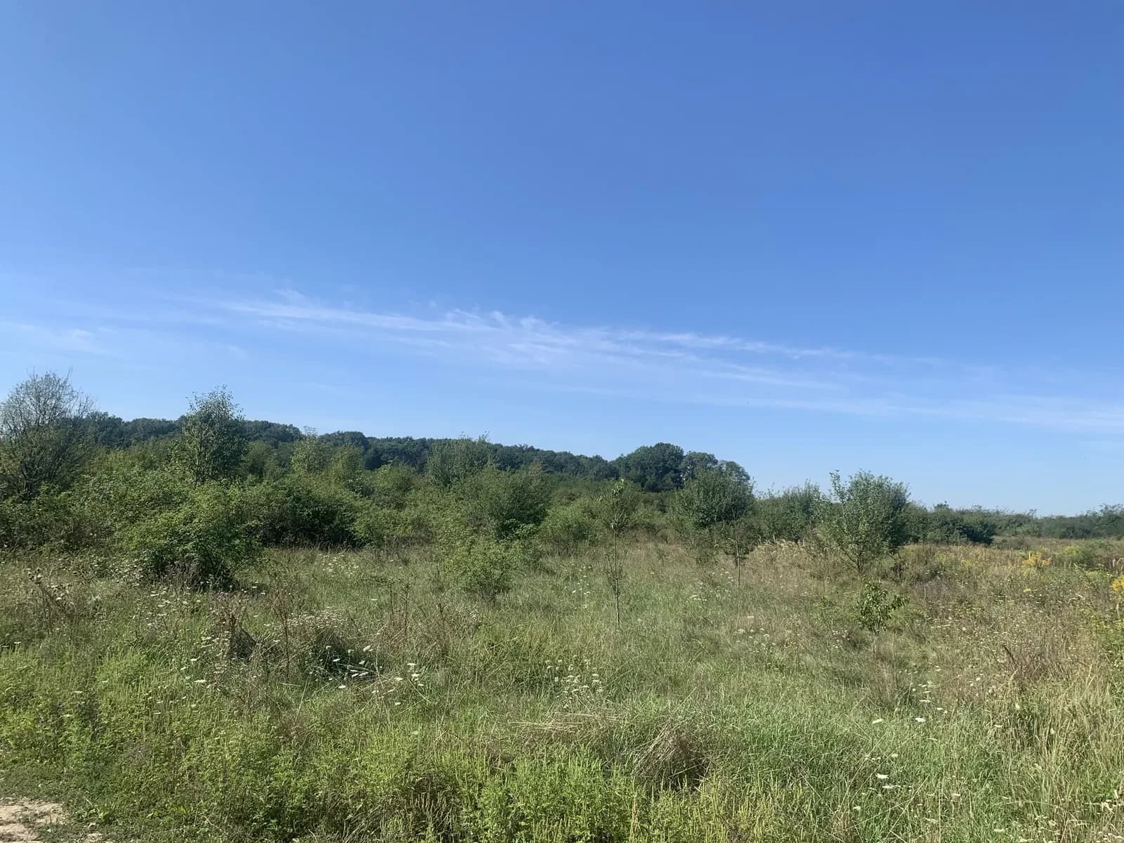 Ділянка 0.08 соток, Виноградів: житлова й суспільна забудова - фото 1