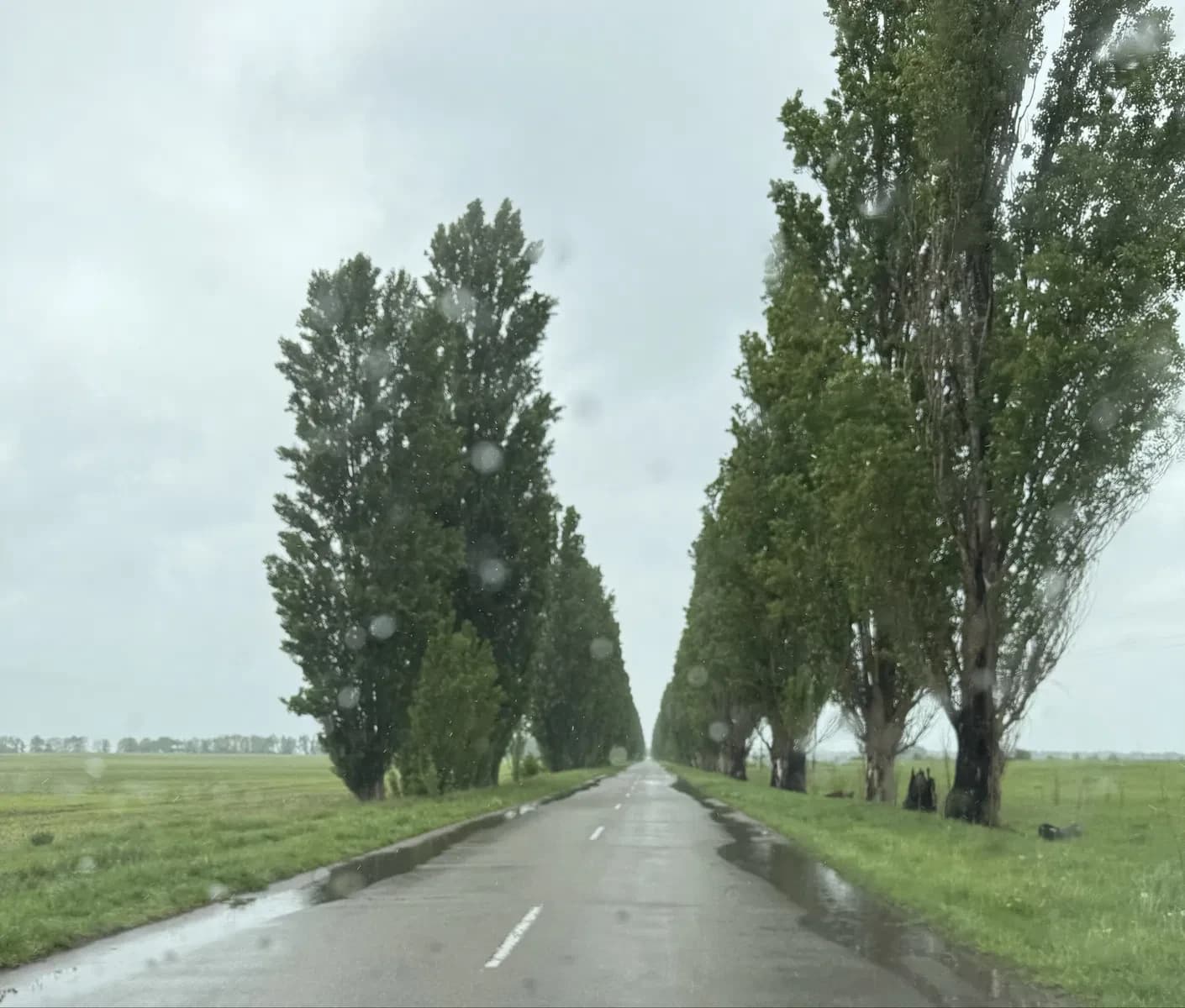 Ділянка 18 соток, Сезенків: вихід до річки, газ та електрика - фото 2