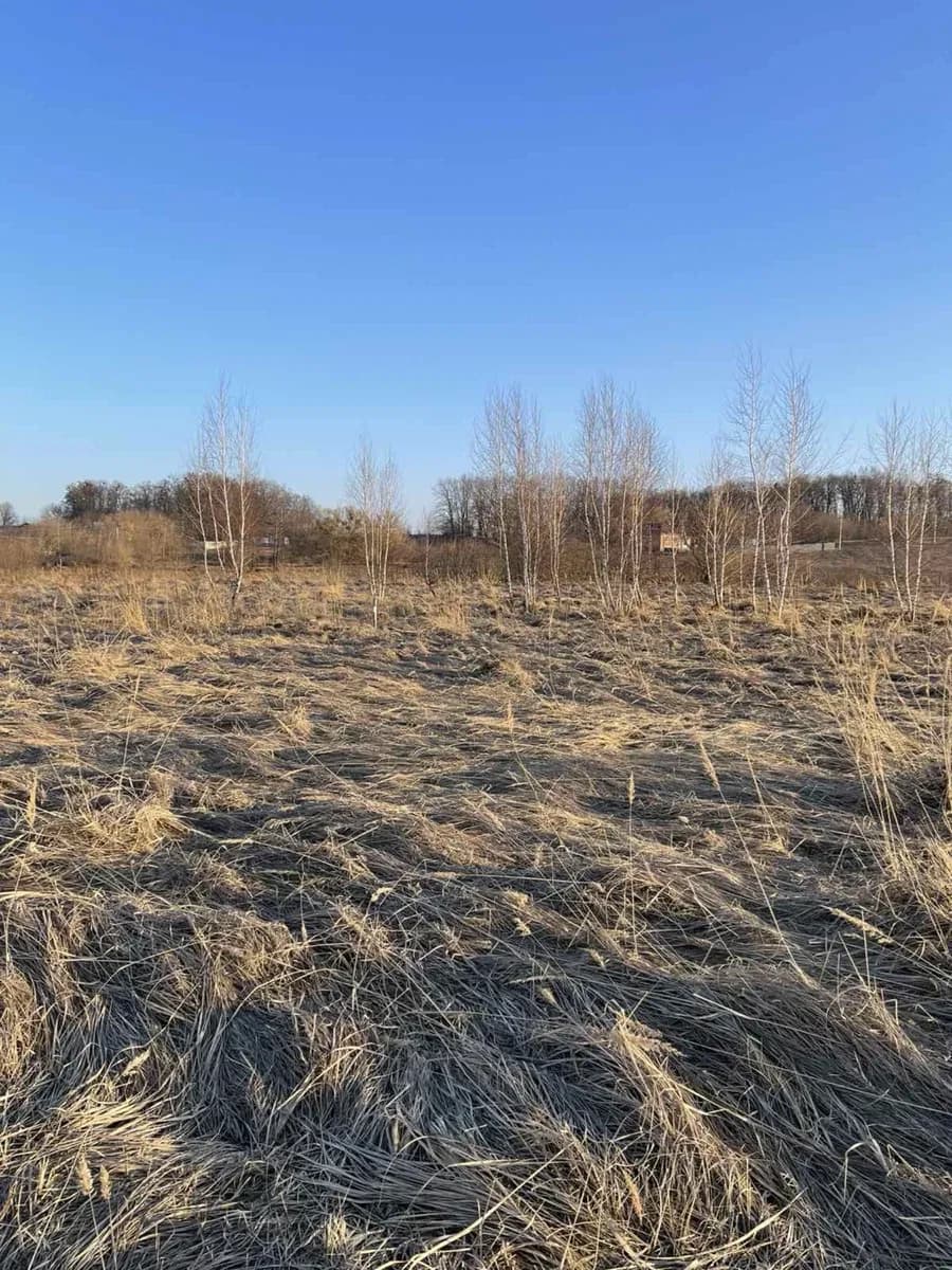 Ділянка 15 соток, Михайлівка-Рубежівка: 16 кВт, озеро за 800 м - фото 5