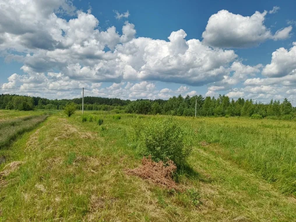 Ділянка 1 760 соток, Немовичі: сільгоспземля, світло поруч