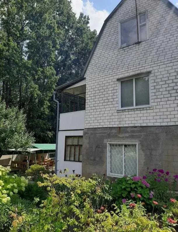 Дача, Гайдари: Гомільшанські ліси, річка С. Дінець - фото 4