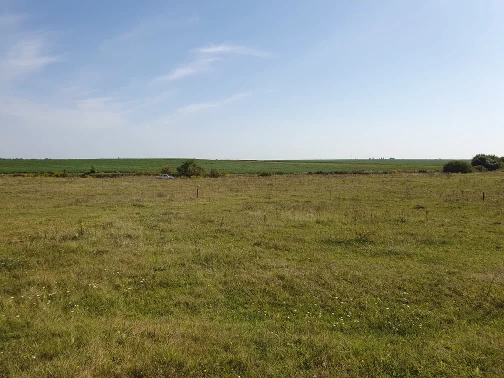 Ділянка 10 соток, Забороль: прибережна зона, сусіди з трьох сторін - фото 2