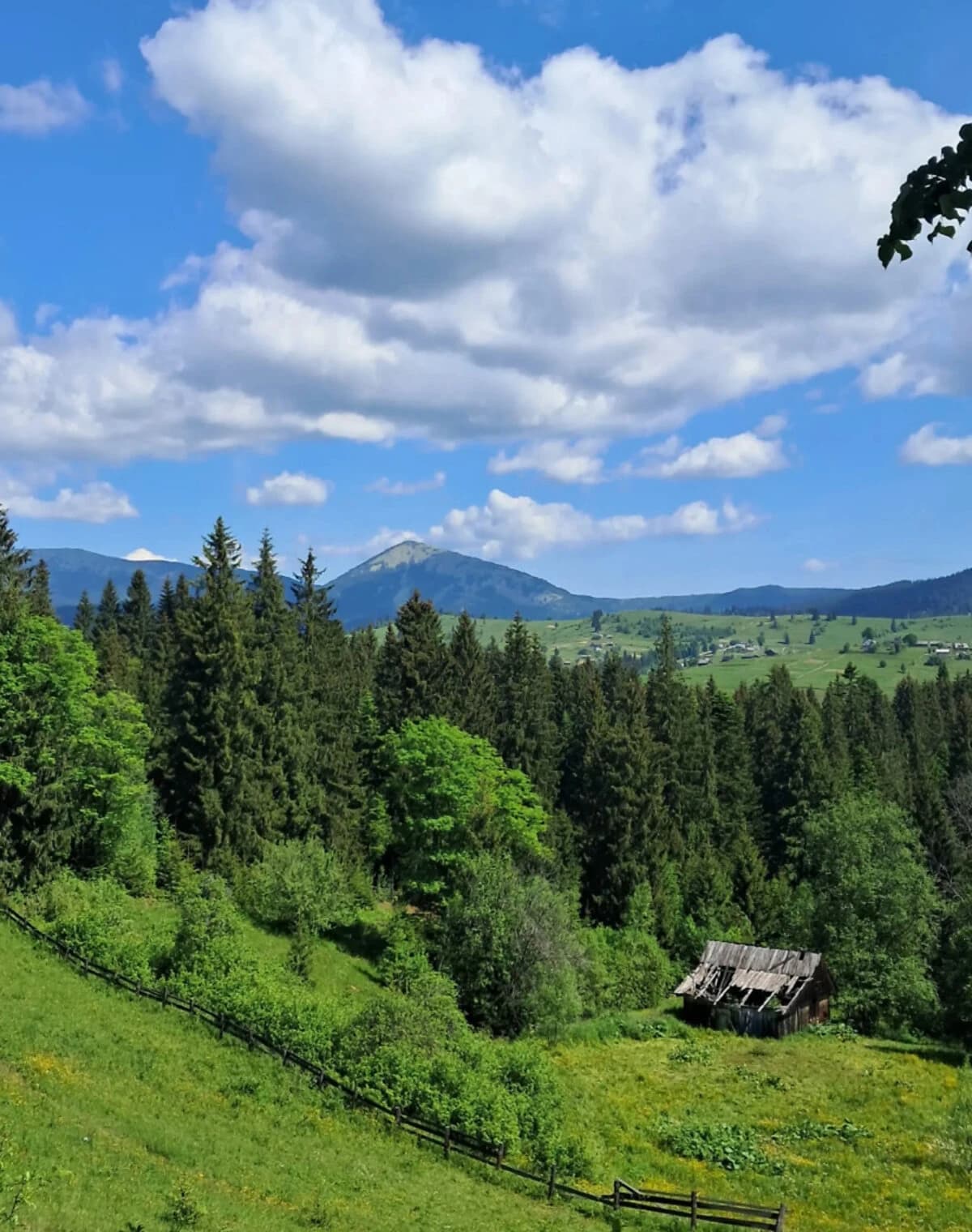 Ділянка 50 соток, Яблуниця: під житлову забудову, криниця - фото 5