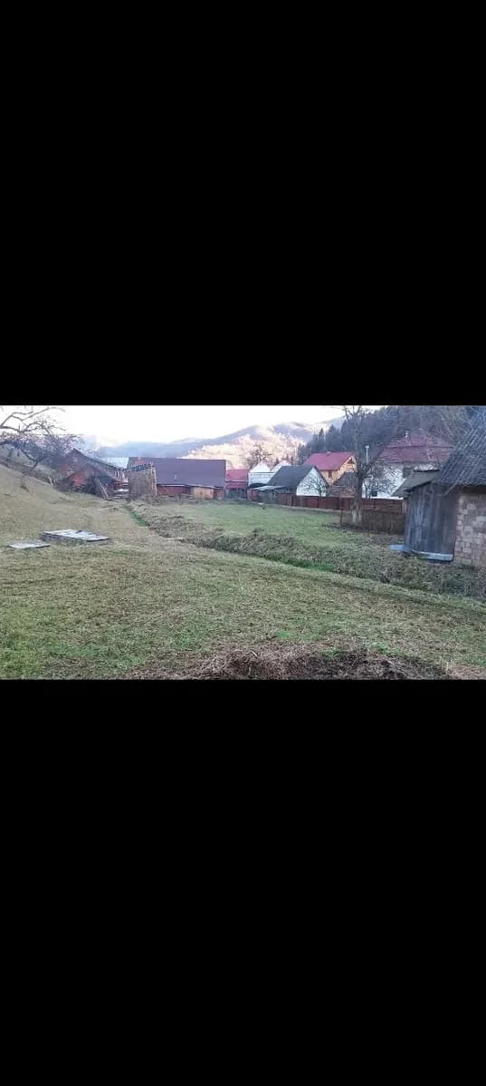 Ділянка 28 соток, Дора: світло і вода, ліс і струмок поруч - фото 4