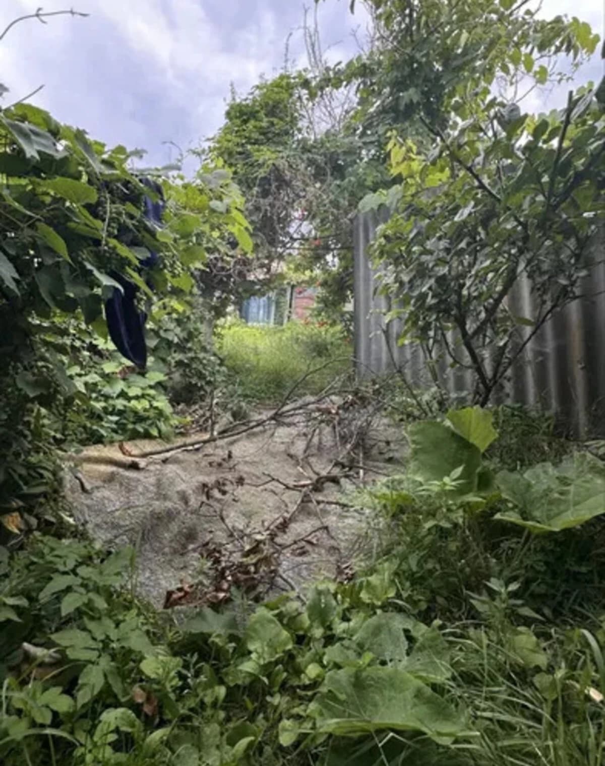 Частина будинку, провулок Будянський: сад і город, свердловина - фото 4