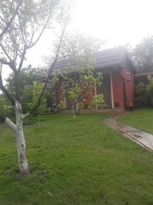 Котедж, Круглик: генератор, озеро, хвойний ліс - фото 4