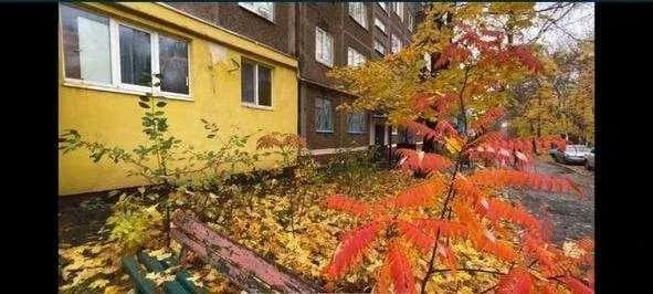3-кімнатна квартира, Даманський: для спільної оренди, без ліжок - фото 3