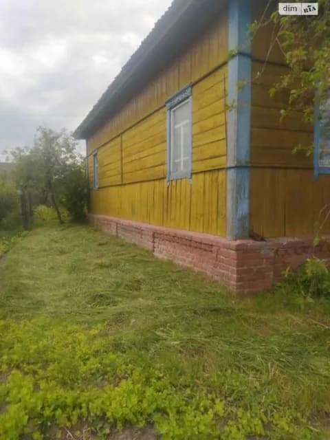 Будинок, Крути: криниця, сад, літня кухня - фото 3