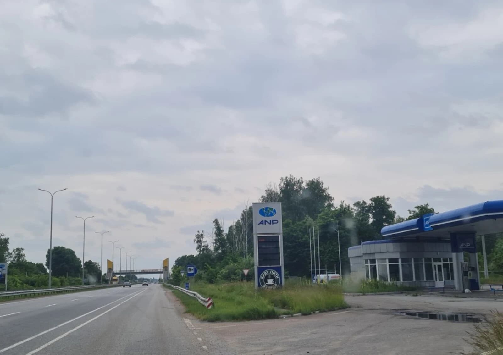 Ділянка 50 соток, Ставище (Брусилів): під житлову забудову, сад - фото 2