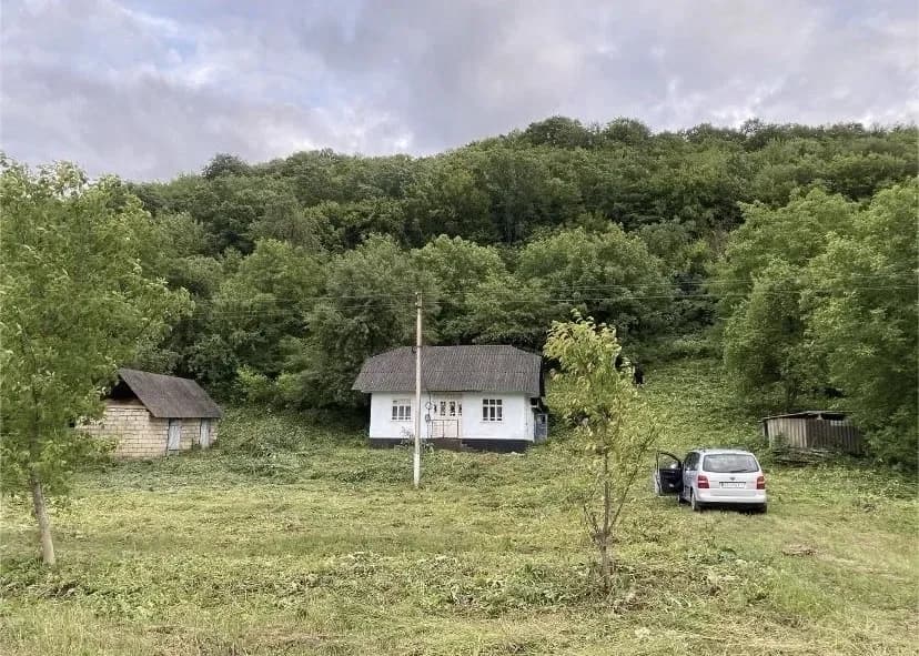 Будинок, Рухотин: на березі Дністра, 50 соток, електроенергія та інтернет - фото 2