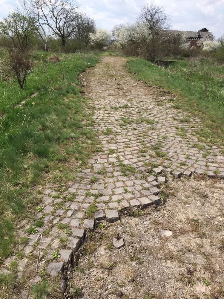 Ділянка 950 соток, Червеньово: асфальтована дорога, газ і світло 100 м - фото 2
