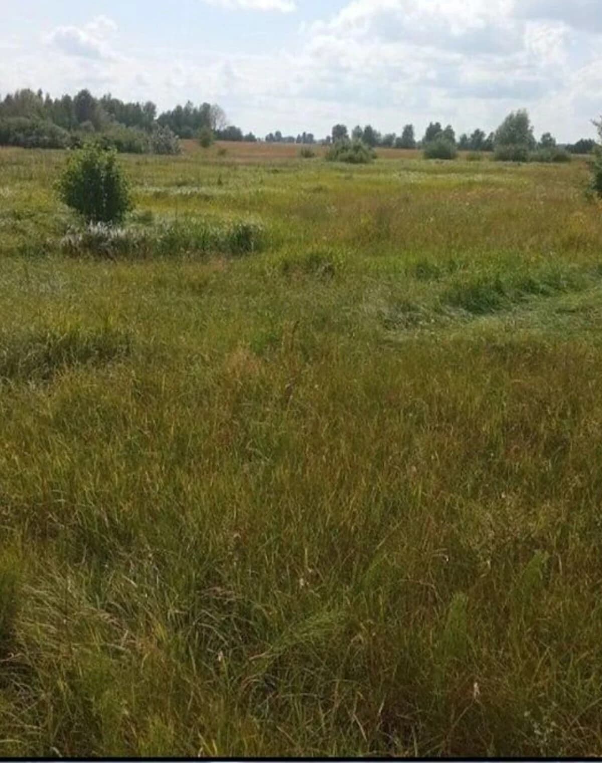 Ділянка 55 соток, Небрат: сільськогосподарська, рівнинна - фото 2