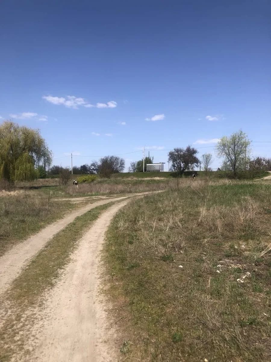 Ділянка 10 соток, Ревівка: Дніпро за 20 м, під забудову - фото 4
