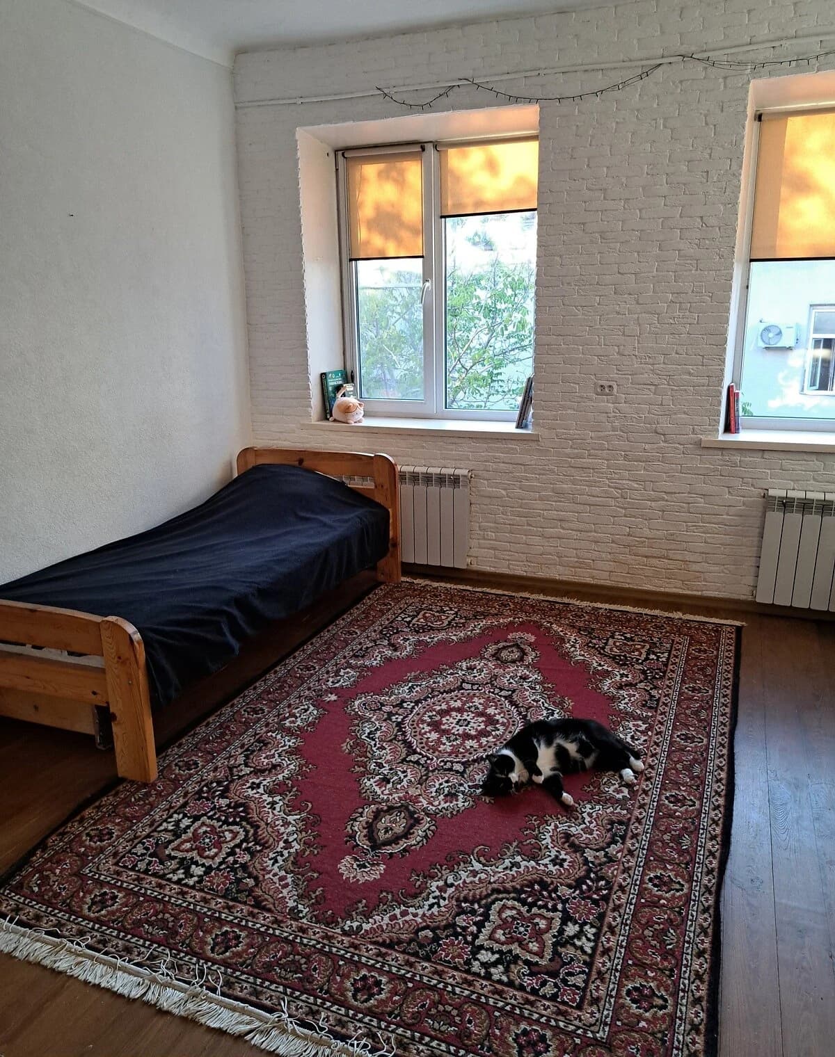 Кімната, Холодна Гора: косметичний ремонт, торг - фото 2