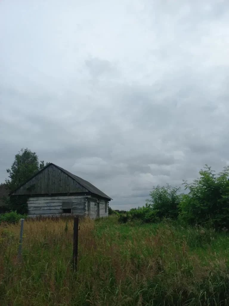 Ділянка 15 соток, Луків: каркас дерев'яного будинку, поруч ліс - фото 3