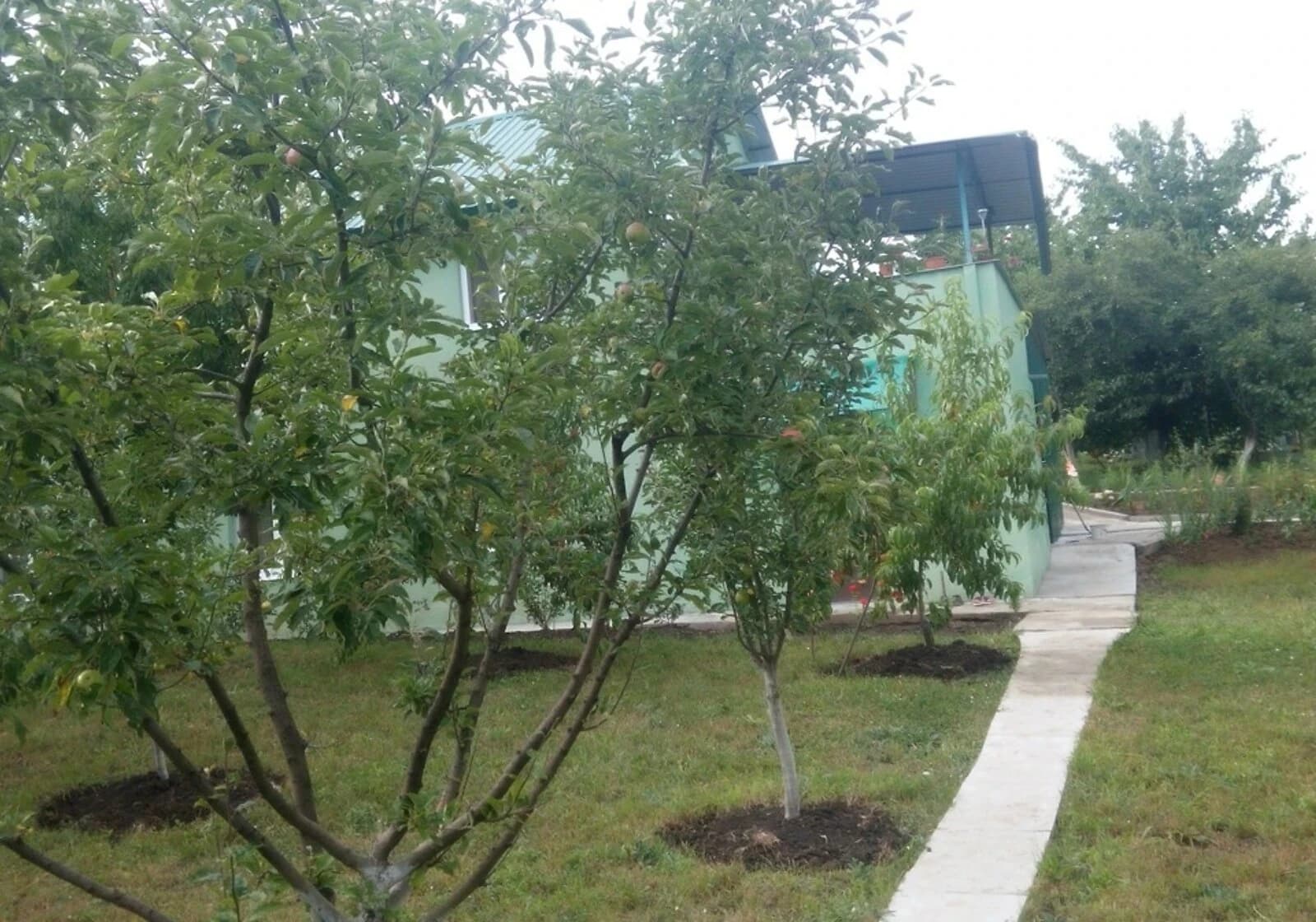 Будинок, Велика Слобідка: гараж, мансарда, 18 соток - фото 5