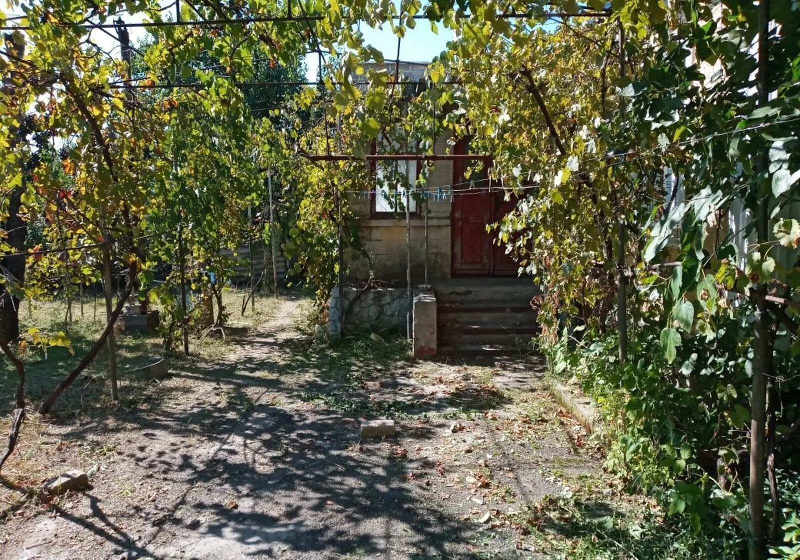 Будинок, Доманівка: господарські будівлі, сад - фото 2