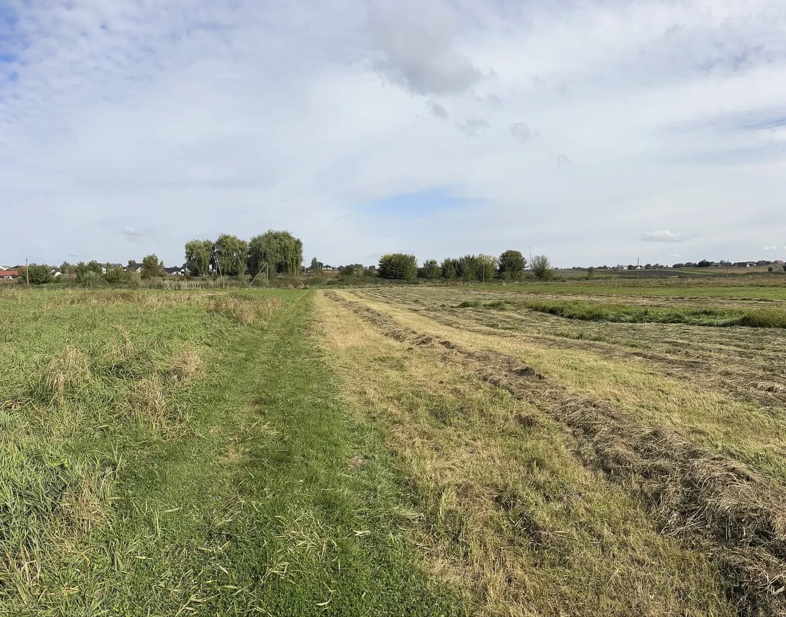 Ділянка 35 соток, Підгайці: сільськогосподарського призначення - фото 2