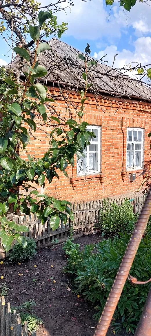 Хата, Болеславчик: гараж, басейн, 30 соток - фото 3