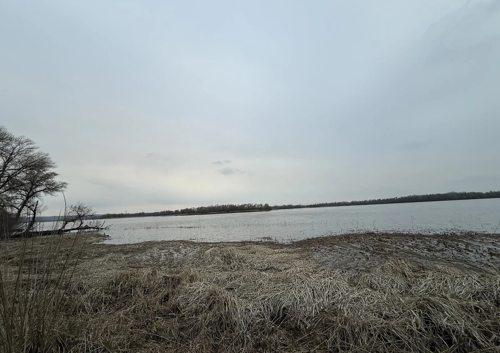 Ділянка 7.37 сотки, Новокодацький: під житлову забудову, під гараж - фото 5