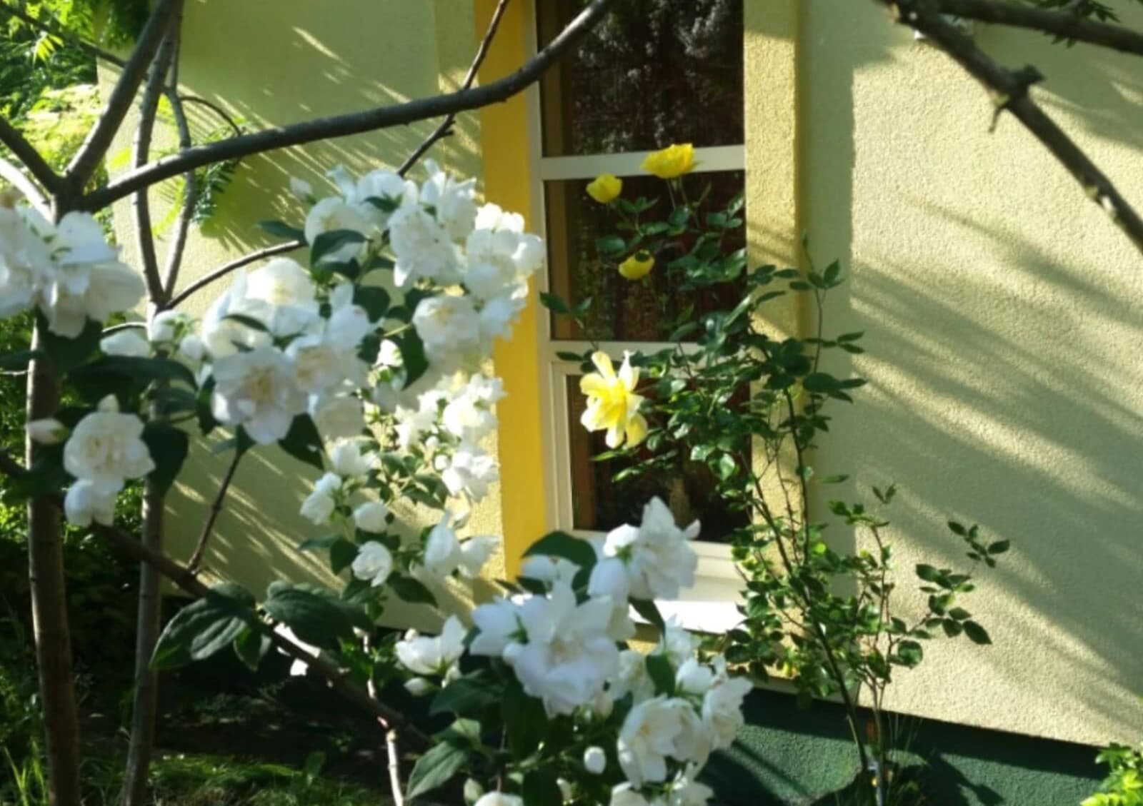 Будинок, Замарстинів: веранда, 2 спальні, великий балкон - фото 4