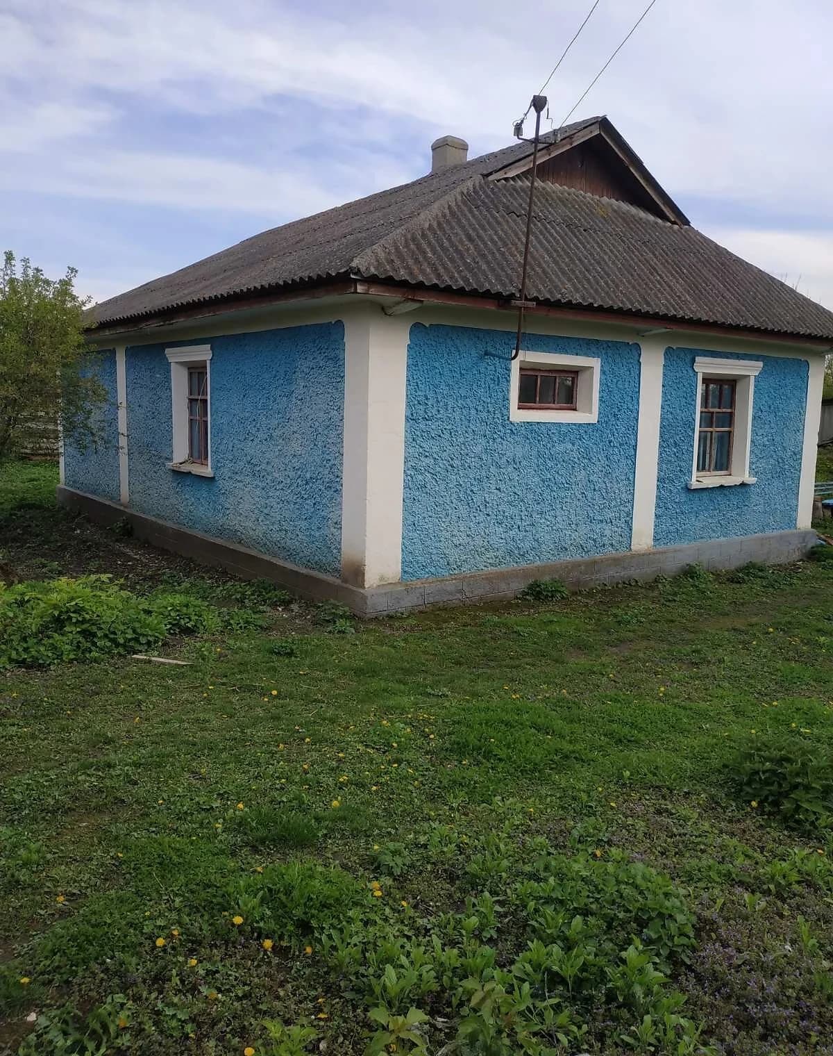 Будинок, Паплинці: природне озеро, школа, літня кухня - фото 2