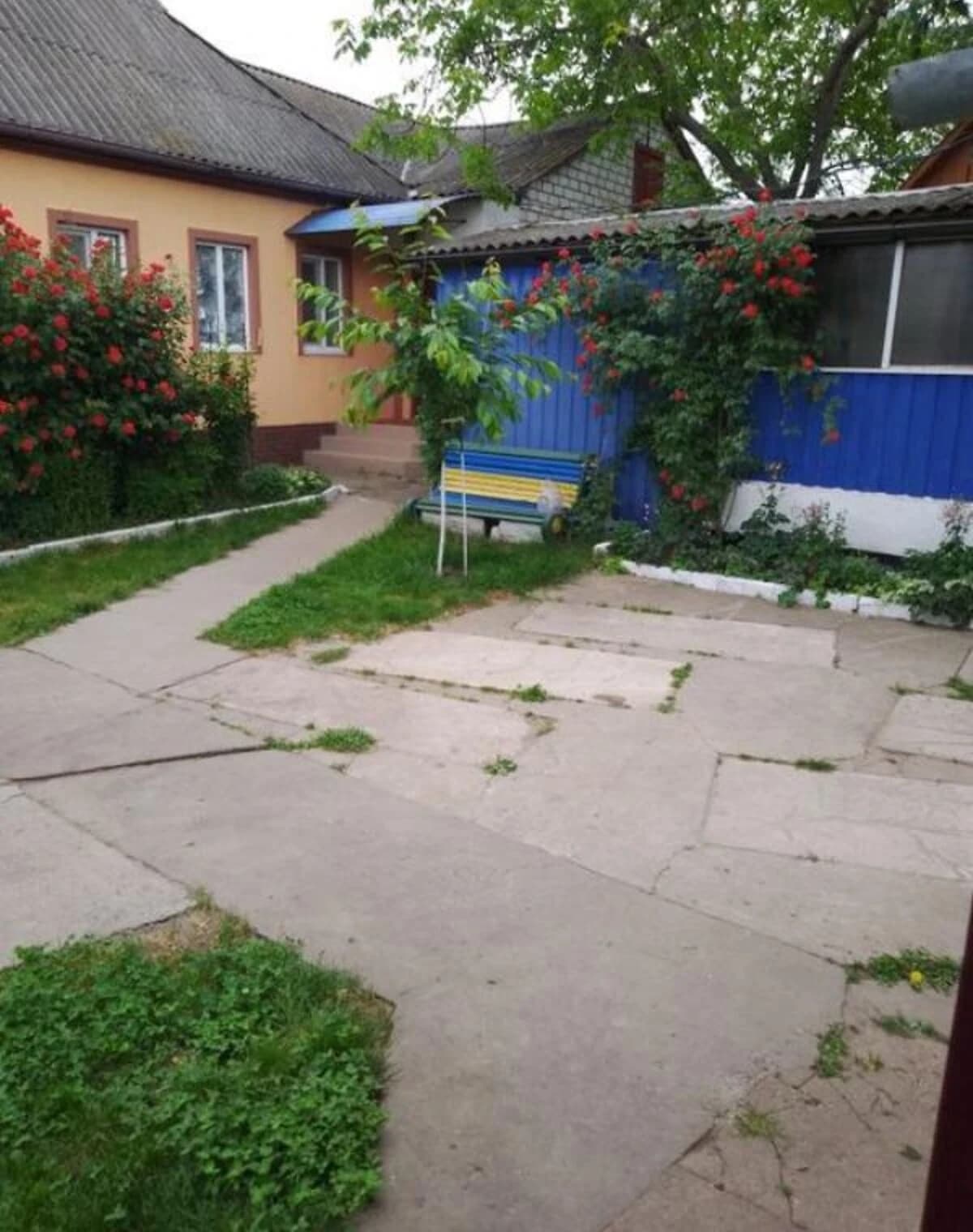 Будинок, Велика Яблунівка: гараж, бесідка, 33 сотки - фото 4