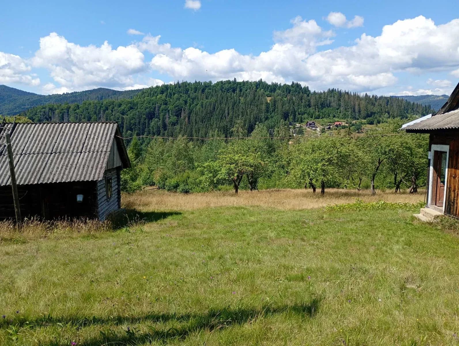 Ділянка 128 соток, Микуличин: екопоселення, електромережа на ділянці - фото 1