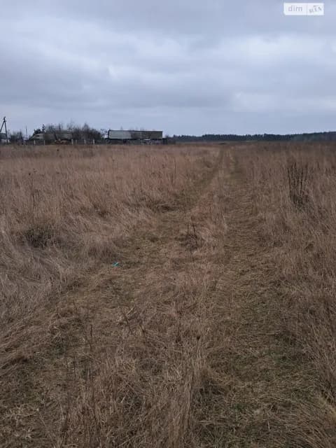 Ділянка 10.17 соток, Калинівка: електрика і газ, торг можливий - фото 2