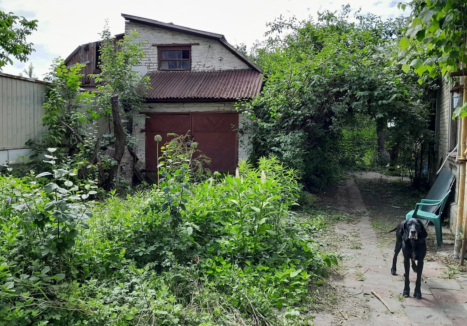 Будинок, Сирець: сад, господарські будівлі, цегляні стіни - фото 4